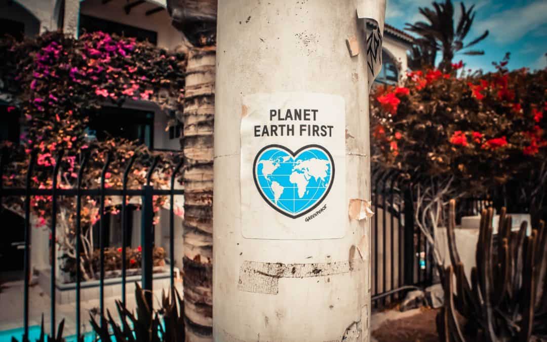 Popular Ways Businesses are Going Green
