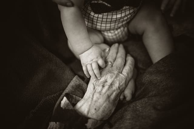 How Can You Transfer a Family Business to the Next Generation and Save Money?