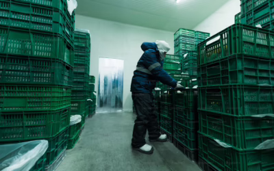 5 Access Challenges Unique to Cold Storage and Distribution Centers