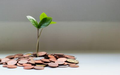 How Boards Should Evaluate Sustainable Financing Opportunities: A Guide